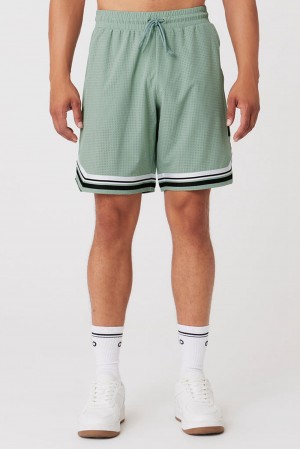 Alo Yoga 9" Traction Arena Miesten Shortsit Icy Sage | Suomi 7125-UMBLD