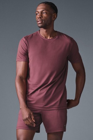 Alo Yoga Conquer Reform Crewneck Miesten Short Sleeve Viininpunainen | Suomi 6247-ESGLX