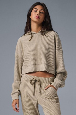 Alo Yoga Muse Naisten Huppari Gravel Heather | Suomi 7038-KJITP