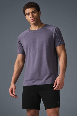 Alo Yoga Triumph Raglan Miesten Juoksupaidat Italian Plum | Suomi 9683-ODCYX