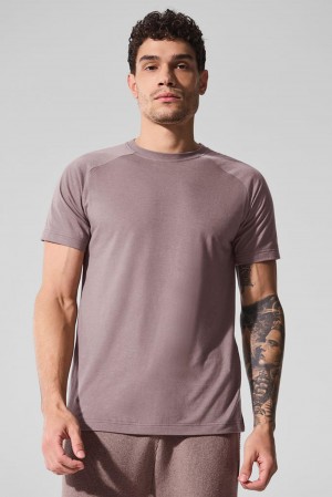 Alo Yoga Triumph Raglan Miesten Juoksupaidat Mushroom | Suomi 4613-TBXWO
