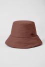 Chestnut
